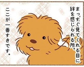 まっすぐ目を見てくれて絆を感じるところ|特別企画「#いぬのここが好き」を語ろう #いぬのここが好き #いぬのきもち #いぬの日 #犬の日 https://t.co/9dG429DEKz