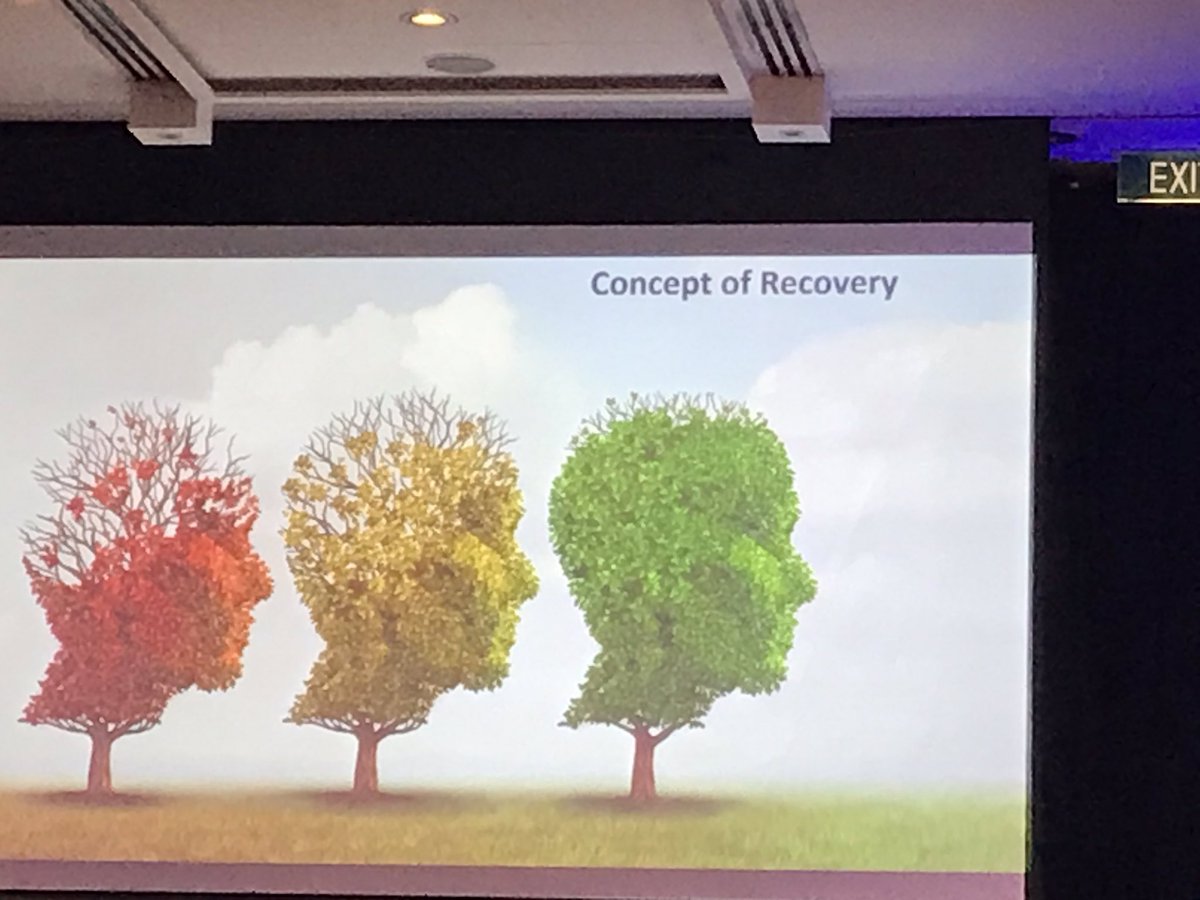 shearer_robyn's tweet image. #amhoic @TePouNZ @minhealthnz @PlatformTrust recovery looks different for everyone - wonderful keynote address Elida Meadows from Tasmania
