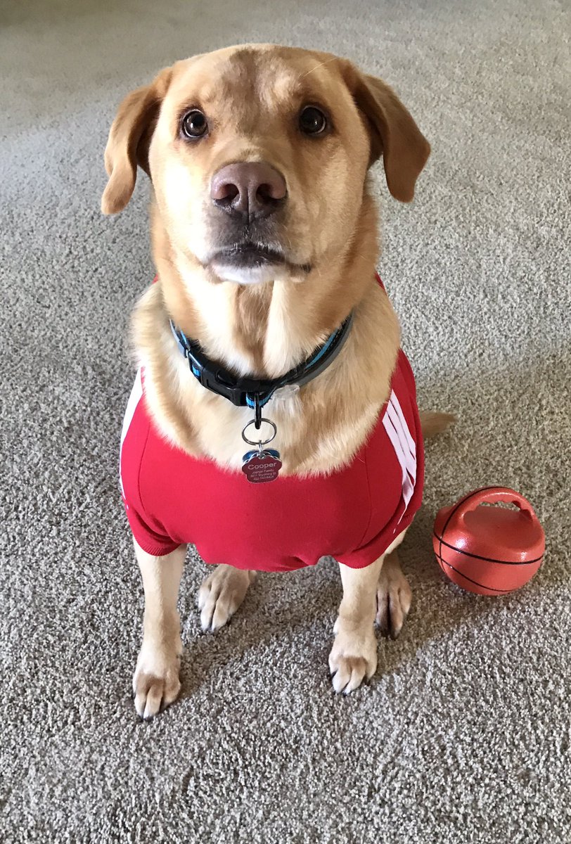 cooper_joerger's tweet photo. happy howl-een! https://t.co/ZcVAWXC2ae