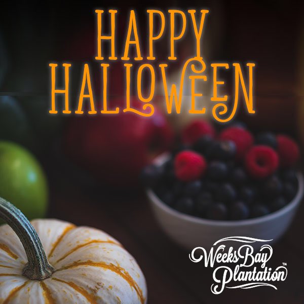 Wishing you all a BooBerry Halloween! 

#weeksbayplantation #organicblueberryfarm #HappyHalloween #FairhopeAlabama