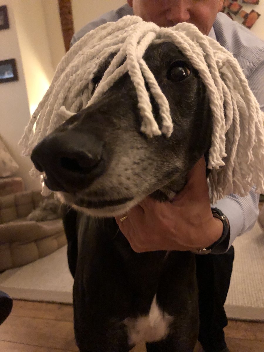 WalterGreyhound's tweet photo. I wills get #brekshit dun by 31 October, or maybes January - blub blub blub https://t.co/V5NfDoH7VD