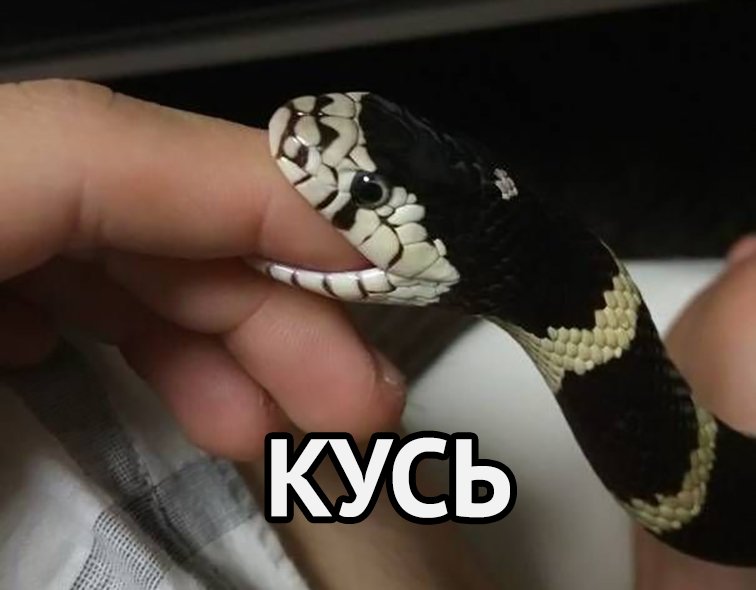 даже змея не кусает. когда человек ест его даже змея не кусает. китайский шоу змея на ванне. даже змея не кусает. гадюка схема слова 1 класс.