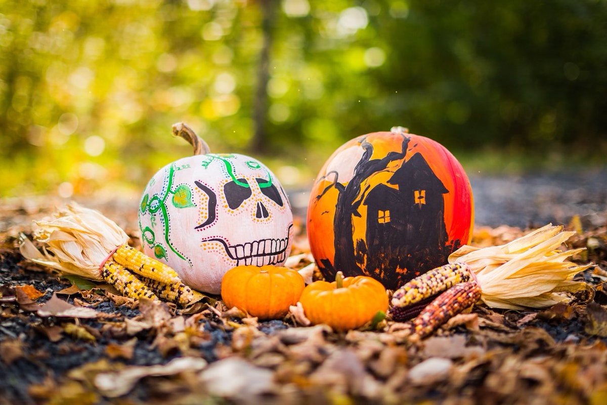 AcademicServCBU's tweet photo. Happy Halloween! Today is the last day to withdraw from a class.👻🎃 https://t.co/jFwVzI8HQO