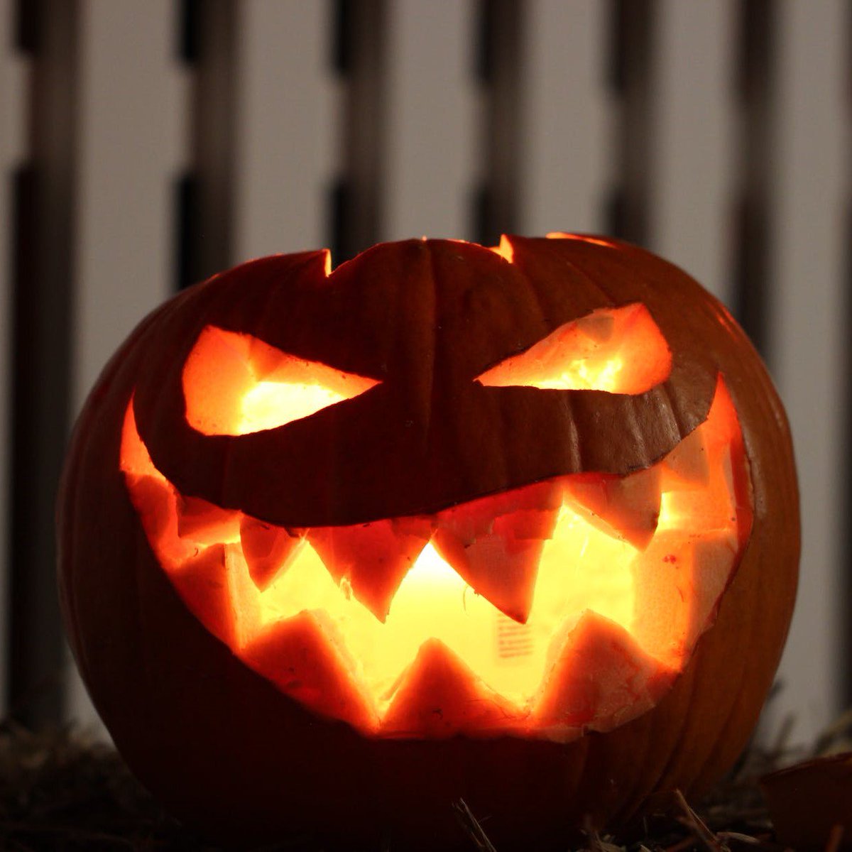 herladen's tweet photo. Happy Halloween! 🎃👻 Enjoy your scary night 👹 #halloween2019 https://t.co/6Eof8LKtcX