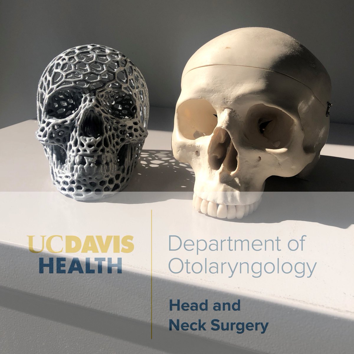 UCDavis_OTOHNS's tweet photo. Happy Halloween from #UCDavisENT! 
#skulls #ucdoto #ucdent #ucdavishealth #otolaryngology https://t.co/jeqGG70HH2