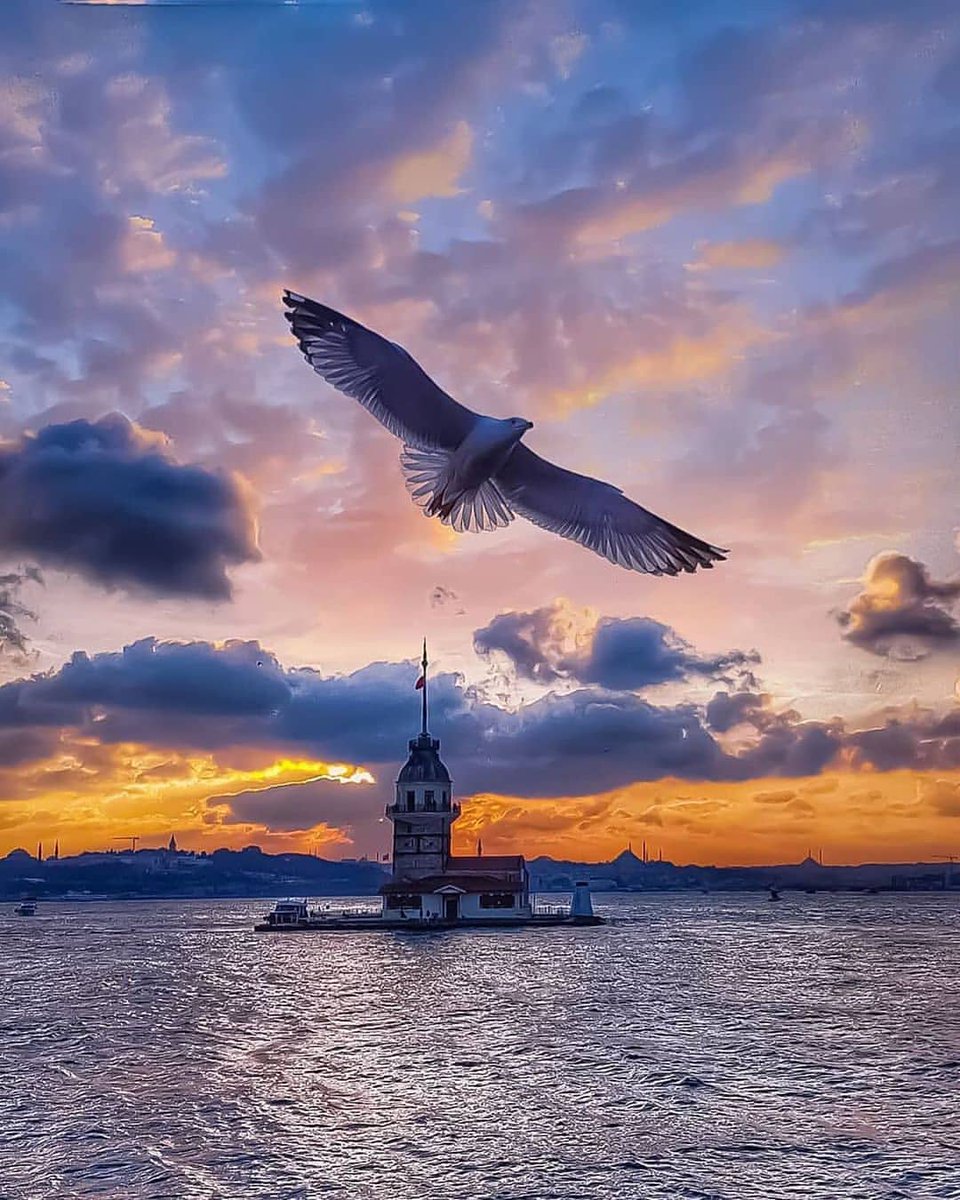 wanderlusttraa's tweet photo. #İstanbul https://t.co/IsaIhKdyDB) https://t.co/IsaIhKdyDB) https://t.co/IsaIhKdyDB)                                    .  #turkeytravel, #wanderlustturkey, #turkeytours, #Turkey https://t.co/ULeoL4NTqf