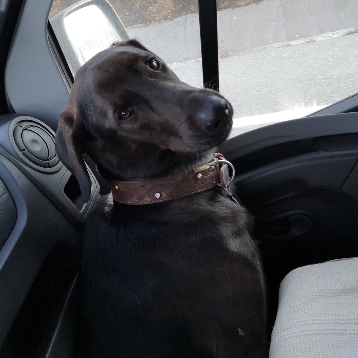 Leider ist die schöne #Zeit bei <a href="/RCRasselbande/">Stefan Reifenrath</a>  vorbei. Dieser wehmütige Blick sagt wohl alles.