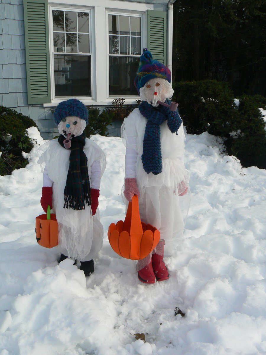 Happy Snowy Halloween from all of us at Great Lakes Bio Systems in Wisconsin!