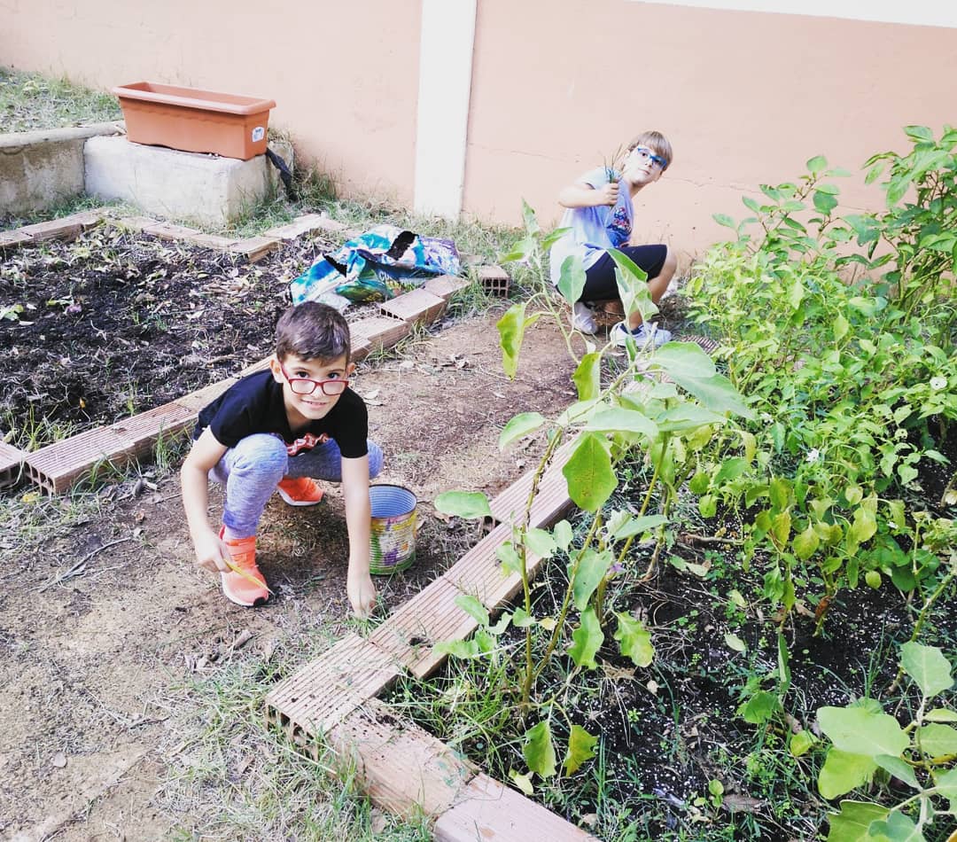 CIDEcooperativa's tweet image. L'alumnat de 2n de Primària ha fet avui ambients. Entre d'altres, han pogut visitar l'hort, fer composicions amb cartó a l'ambient d'art o manipular carabasses, fer castells encantats i teranyines de Halloween al d'experimentació.
#ambients #experimentar #hort #art