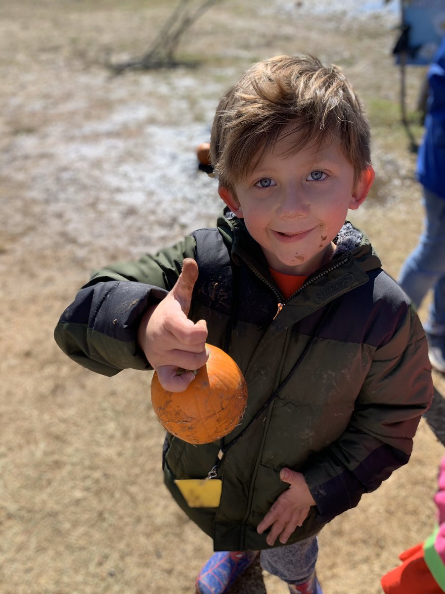 MrsAxworth's tweet photo. Kindergarten had the best day learning and exploring at the pumpkin patch. @MRECCardinals @melissaisd https://t.co/qa6KZy42AN
