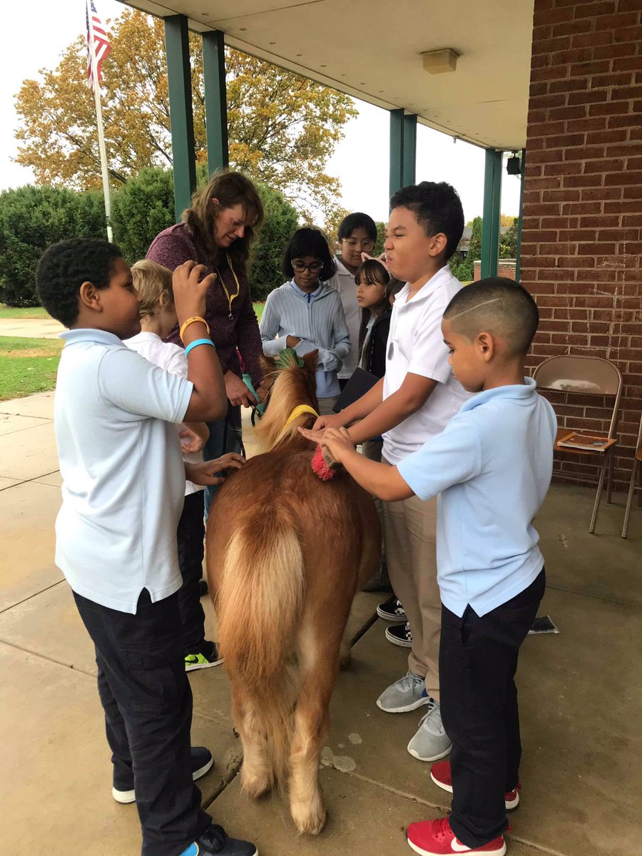 So many snuggles! #KPets joined <a href="/HamiltonSDOL/">HamiltonPrincipal</a> #PBIS #chooseyourownadventure today and friends visitors with cats and horses!