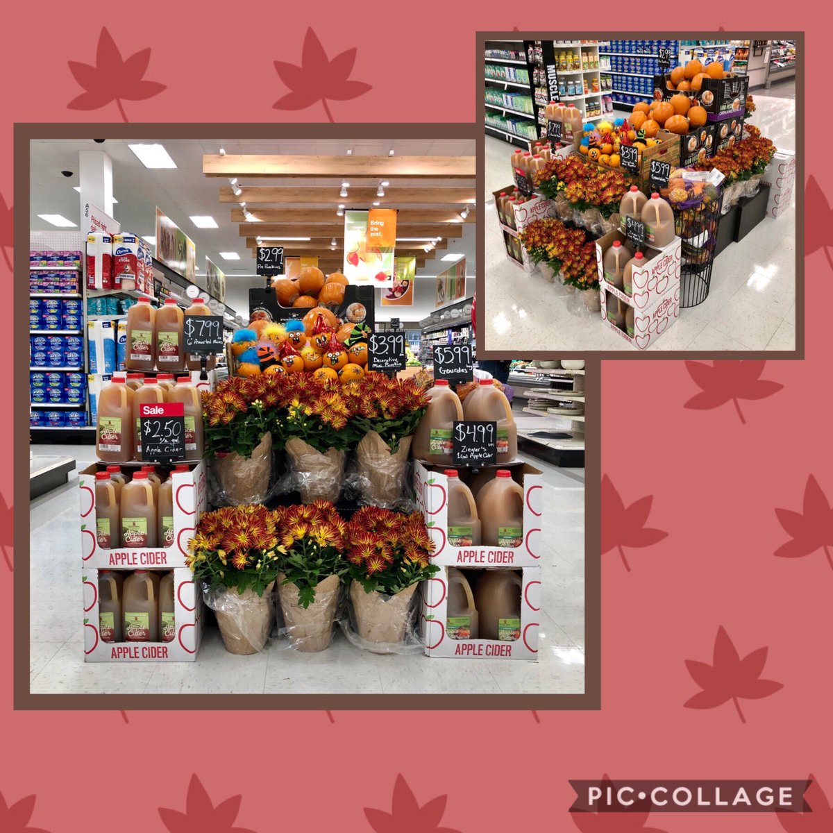 AKinthiseng's tweet photo. #T1314 is looking #Gourdeous and #Spooky on #Halloween2019! #D117 #G194 #BluffinAintEasy #ButItSureIsFun @BreeFromTarget @Tim_Heit @Jessica_berry23 https://t.co/Rtui2r8WQs