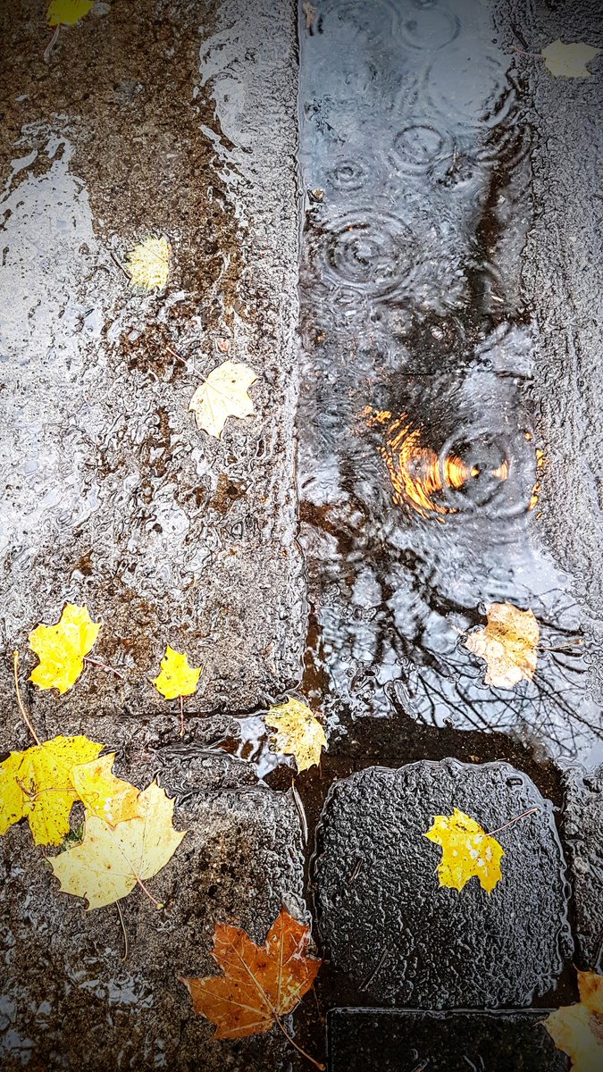 Caroline Tabah On Twitter Listening To The Sensitive Beautiful