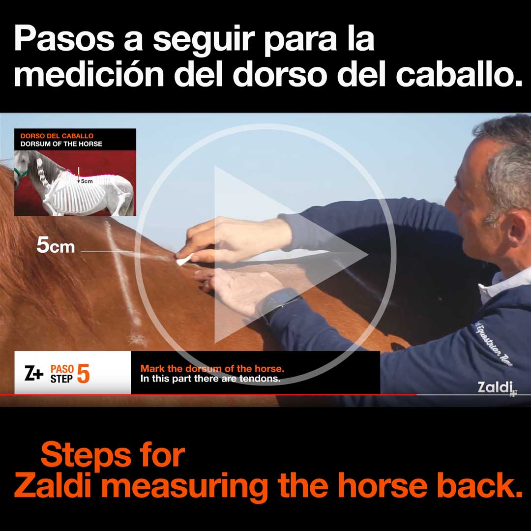 Zaldihipica's tweet photo. 🇬🇧Steps for Zaldi measuring the horse back. #saddlefitter
🇪🇸José Luis Castellanos Torres, CEO de Zaldi, muestra los pasos a seguir para la MEDICIÓN del DORSO del CABALLO y obtener los datos exactos para la fabricación de la silla de montar. #31oct
🎞️ https://t.co/O8Mh4ldiWY https://t.co/Ohto6aIFvo