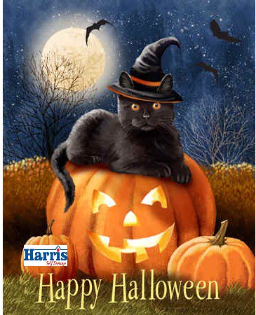 Have a Safe and Fun Halloween!