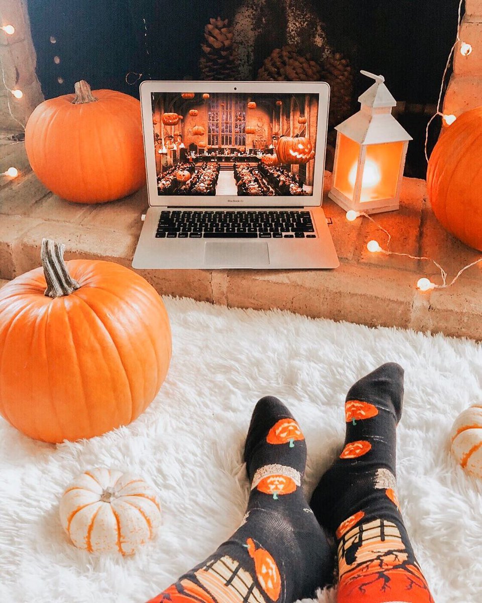 K. Bell Socks tweet media