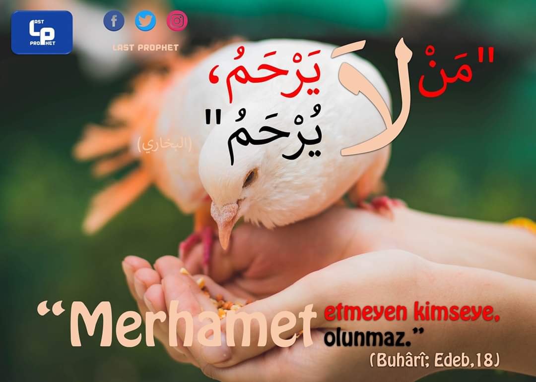 LastProphetP's tweet photo. #LastProphet #DailyHadith #Islam #Muhammed #Sunnah #people #mercifully #SonPeygamber #Hadis
#Sünnet
"Whoever is not merciful to others will not be treated mercifully.“
(Al-Bukhari)
"Wer kein Erbarmen (mit anderen) hat, der hat keinen Anspruch auf Erbarmen."
(Al-Bukhari) https://t.co/BtdKnmpQRd