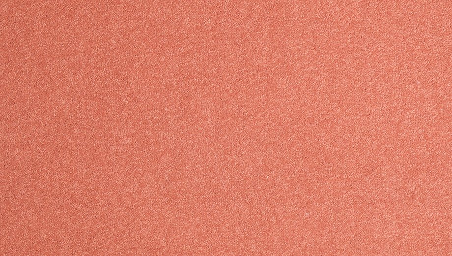 AxminsterCarpets tweet media