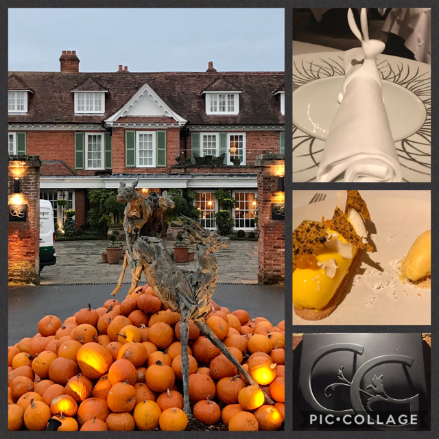 AAHospitality's tweet photo. A fabulous display of pumpkins @chewtonglen just in time for #Halloween. The team were thanked for a memorable stay #AAFiveRedStars #TwoAARosettes #AA Hotel of the year 2019/20 https://t.co/wi4qM4C0fk