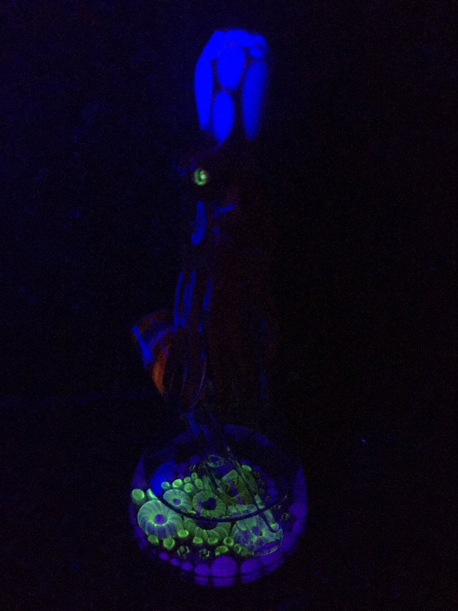 JohnnyLandini's tweet photo. Rust travel style Octo minitube.  AVAILABLE.  DM for info.  #minitube #glassoftwitter #glassart #headyglass #bonnaroo https://t.co/Mn7XRuqWBY
