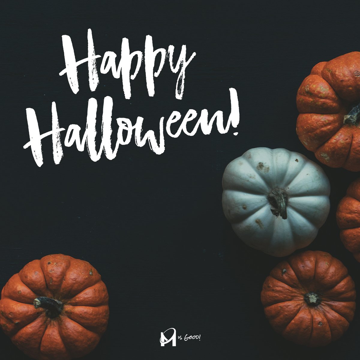 theMisgood's tweet photo. Happy Halloween from the team at M is Good! 🎃

#halloween #autumn #spooky #trickortreat #fall #misgood #marketing https://t.co/5SEpoEmODe