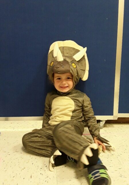 Jeff_O84's tweet photo. Our little triceratops... https://t.co/hLCFhYnnmK