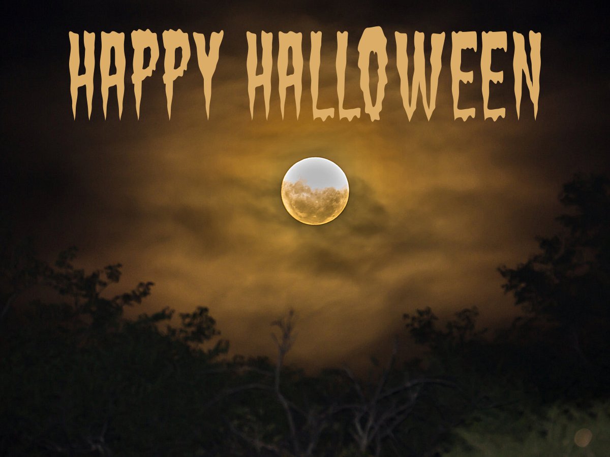 Diane2Gm's tweet photo. Wishing you a #Halloween filled with tricks AND #treats! https://t.co/96mT2oIf8g