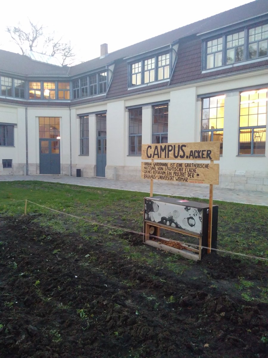 campusbaum's tweet photo. Auf dem Campus der @bauhaus_uni gibt es nun endlich einen #UrbanGardening Acker! Hier wachsen nun: Speisezwiebel, Mangold, Gartenspinat, Knoblauch. Danke @bauhaus100 @TMIL_Thueringen https://t.co/PgoaFoKJb4