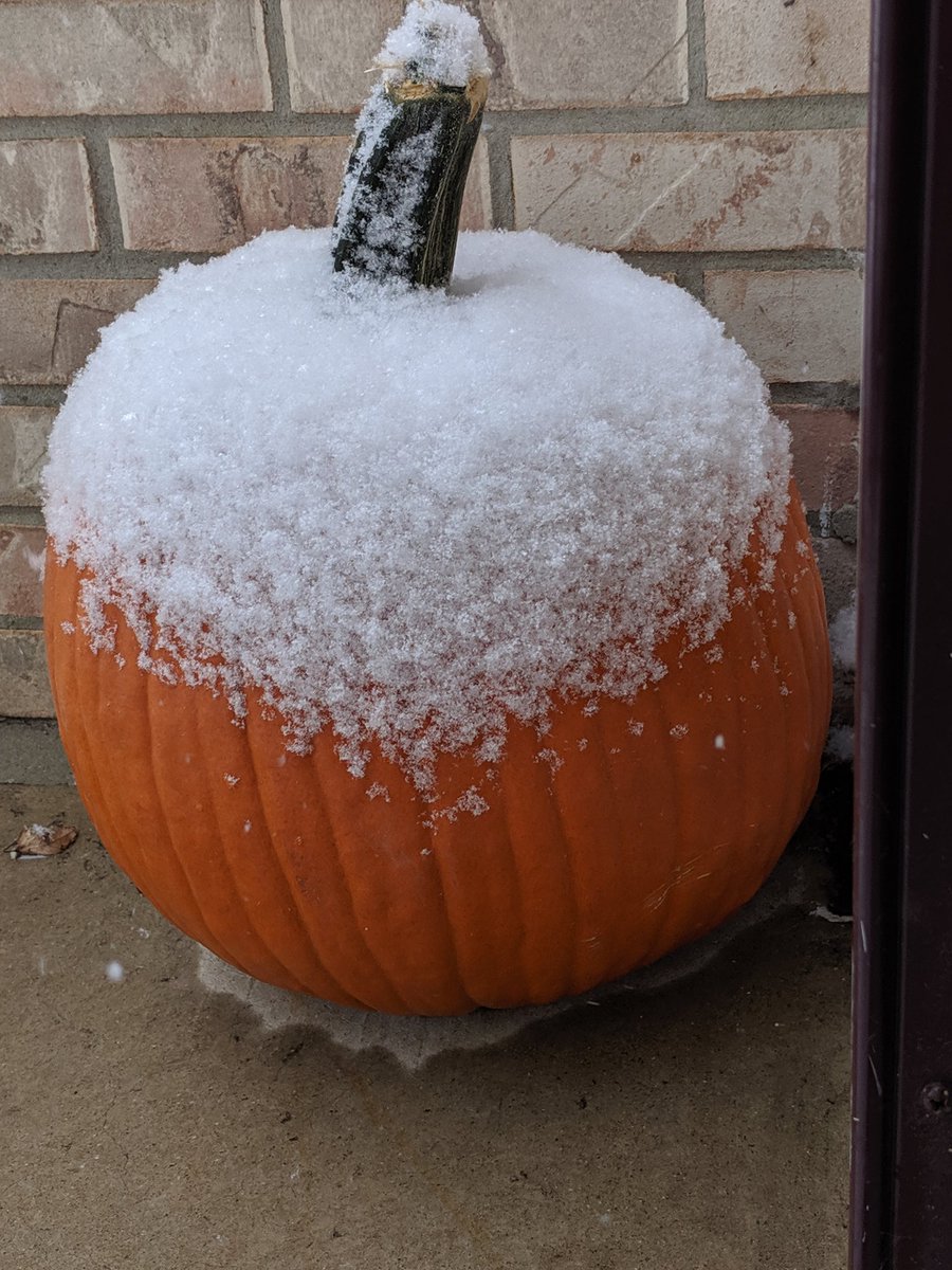 misstummy's tweet photo. Wow, the snow sure is growin'!
#trickortreat https://t.co/4CzX8cCllJ