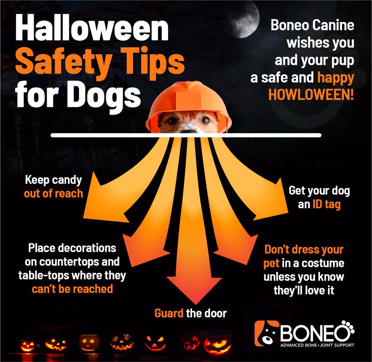 Boneocanine's tweet photo. #Halloween is full of fun and excitement for people, but it might give your #dog a fright! That’s why it’s important to take some #safety precautions. https://t.co/Vbh48X6phj
