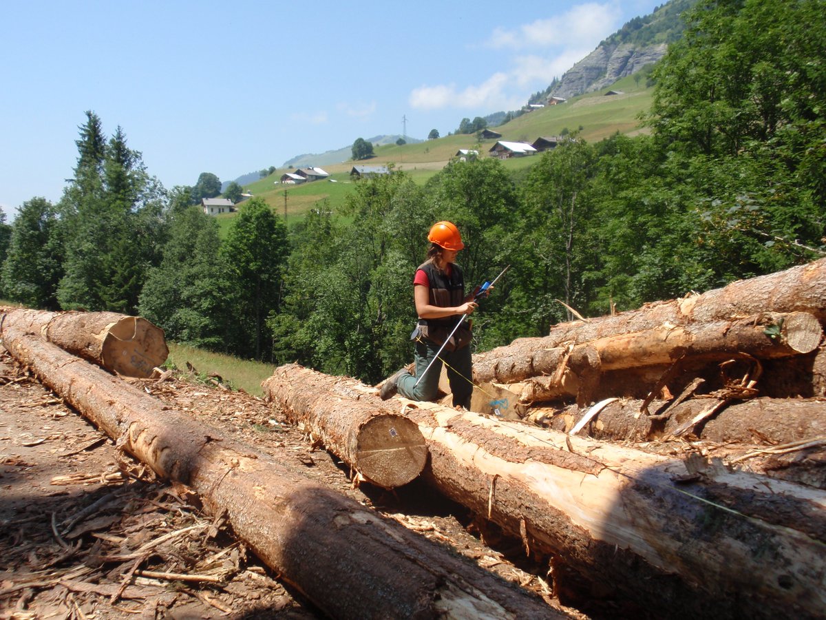 UCFFcoop's tweet photo. #Recrutement - #job #forêt #bois : la #coopérative #COFORET recherche #technicien #forestier – Responsable du secteur du #Chablais en région @auvergnerhalpes
@loichervepublic @MartialSaddier @marion_lenne @Les_Barres @prefetrhone @FiliereBois https://t.co/VrYLchwIJN