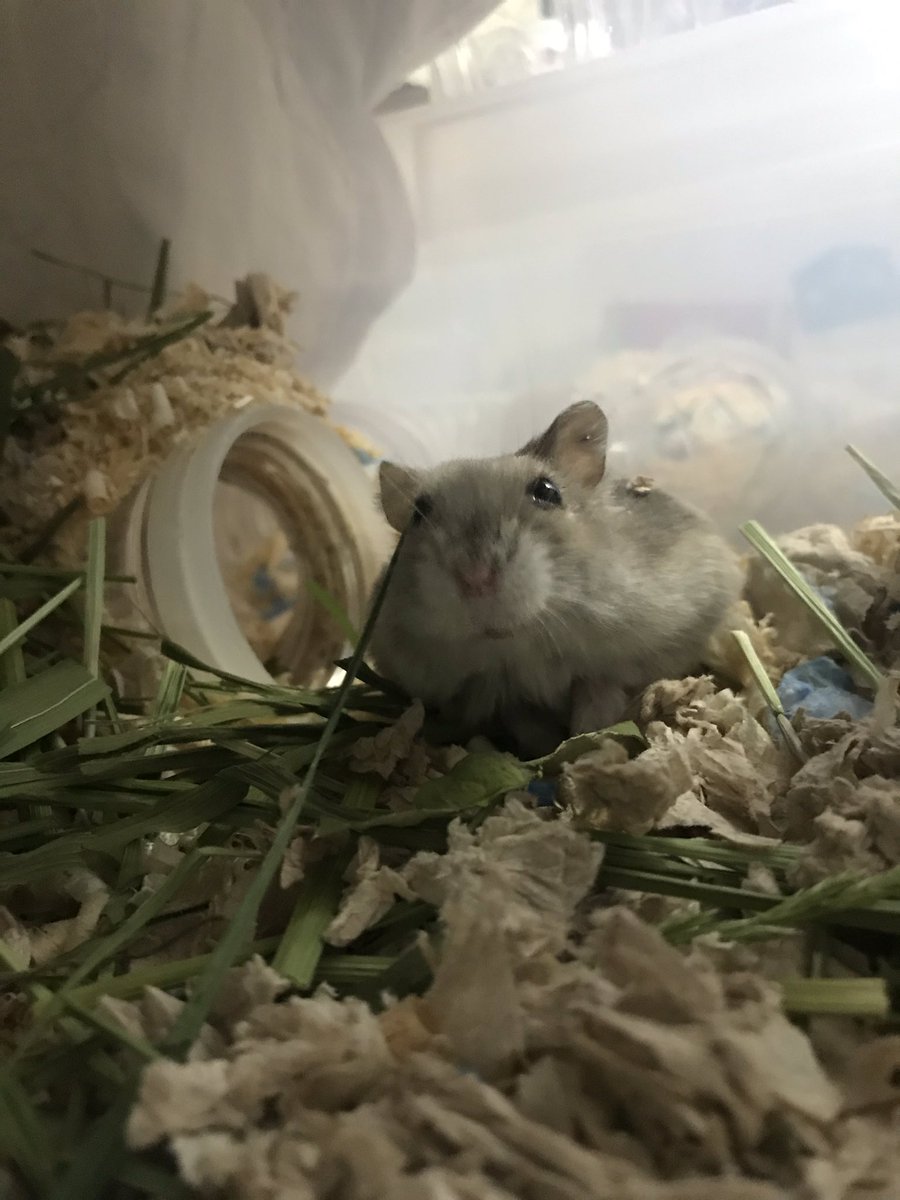 애 셋 키우다가 하나 되니 물품정리를 어떻게 할지가 난감하다.. 뭐먼저 처분해야하는가...ㅠㅠ