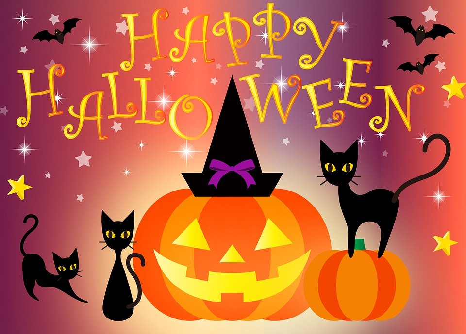 eips's tweet photo. Happy Hallowe'en, @eips! If you go out:
* Take care crossing streets
* Make sure your costume fits properly so you don't trip 
* Stay in a group or with a responsible adult 
* Stick to well-lit areas
* Check your treats carefully before eating
* Have fun! https://t.co/DUauPj1Sb0