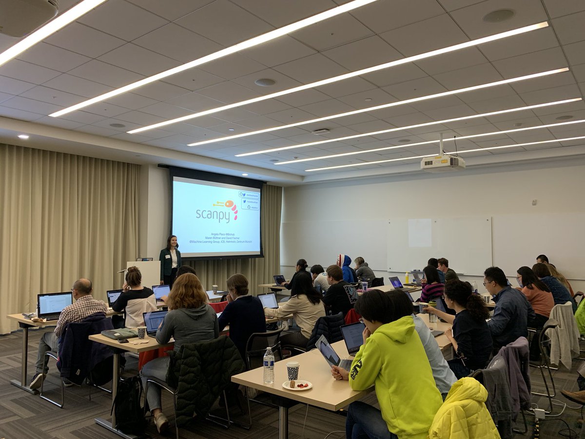 drAOPisco's tweet image. Looking fwd two full days of #scanpy