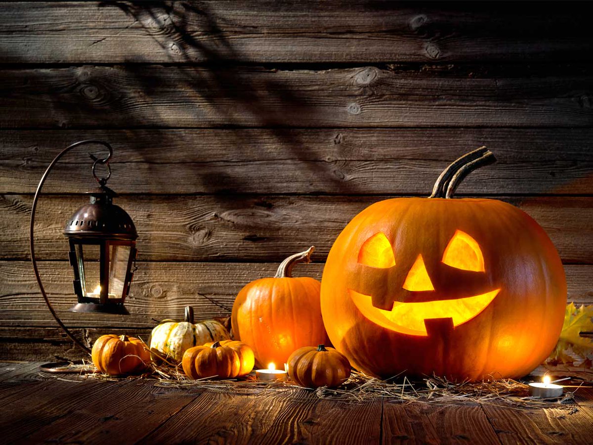 KPartnersHotels's tweet photo. Happy Halloween!  #halloween2019 https://t.co/l5L3CeRjck