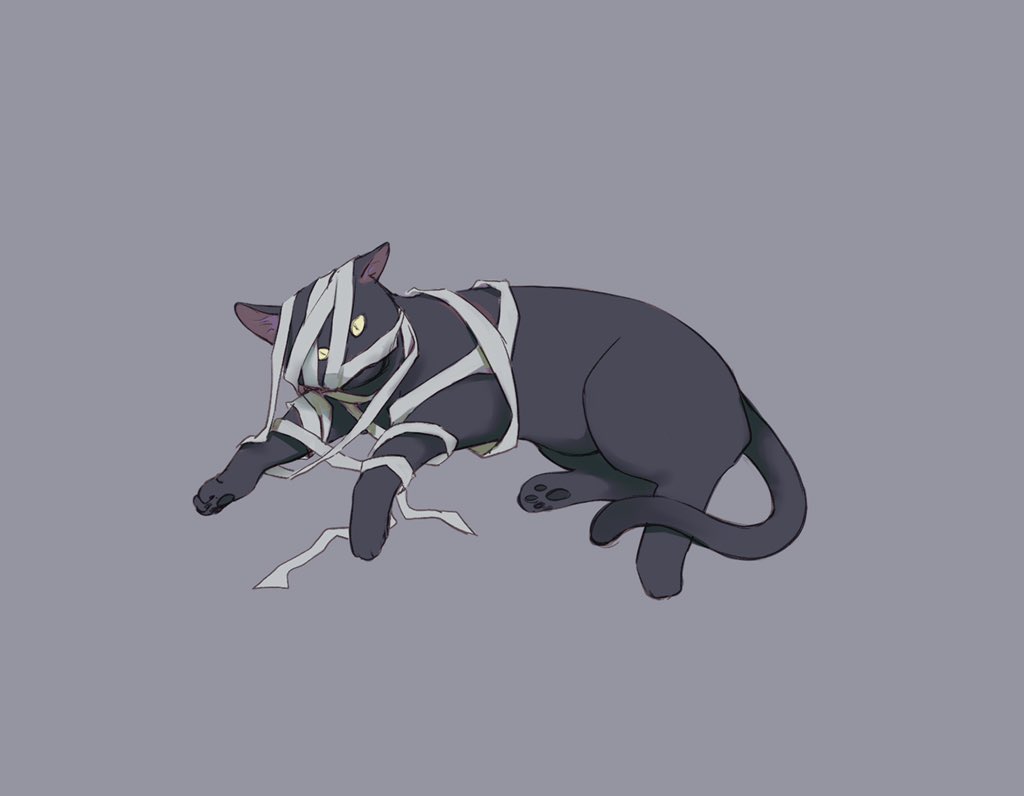 万圣猫猫www