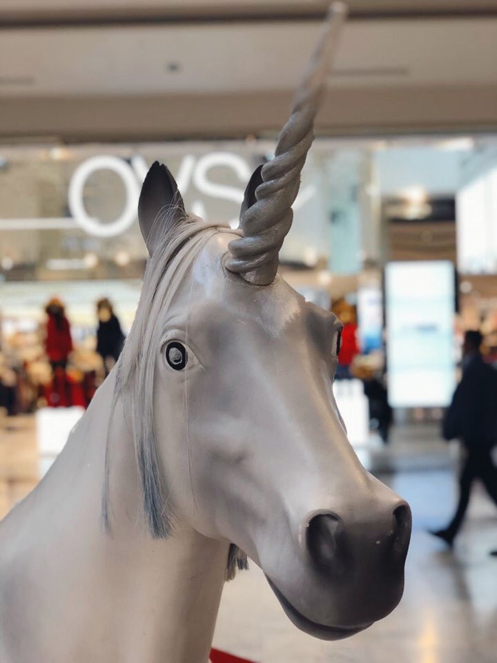IGIGLI's tweet photo. Brividi in Galleria... c'è Nightmare Before Christmas a I Gigli! 😱🎃 Passeggiando fra i negozi oggi fino alle 20 potrete imbattervi nelle animazioni itineranti in collaborazione con la Festa dell'Unicorno! E poi, i Tarocchi di #Halloween, unicorni e il Truccabimbi da paura! https://t.co/FuhWcrCM8e