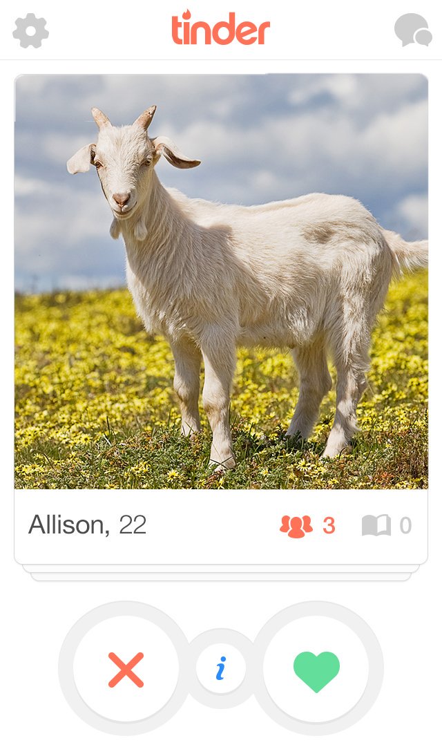 OnlyAtSouthern's tweet photo. Appalachian State tinder. https://t.co/98c3EfTisu