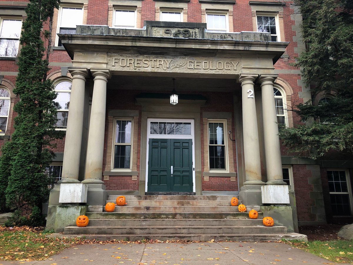 UNB Fredericton (UNBFredericton) Twitter