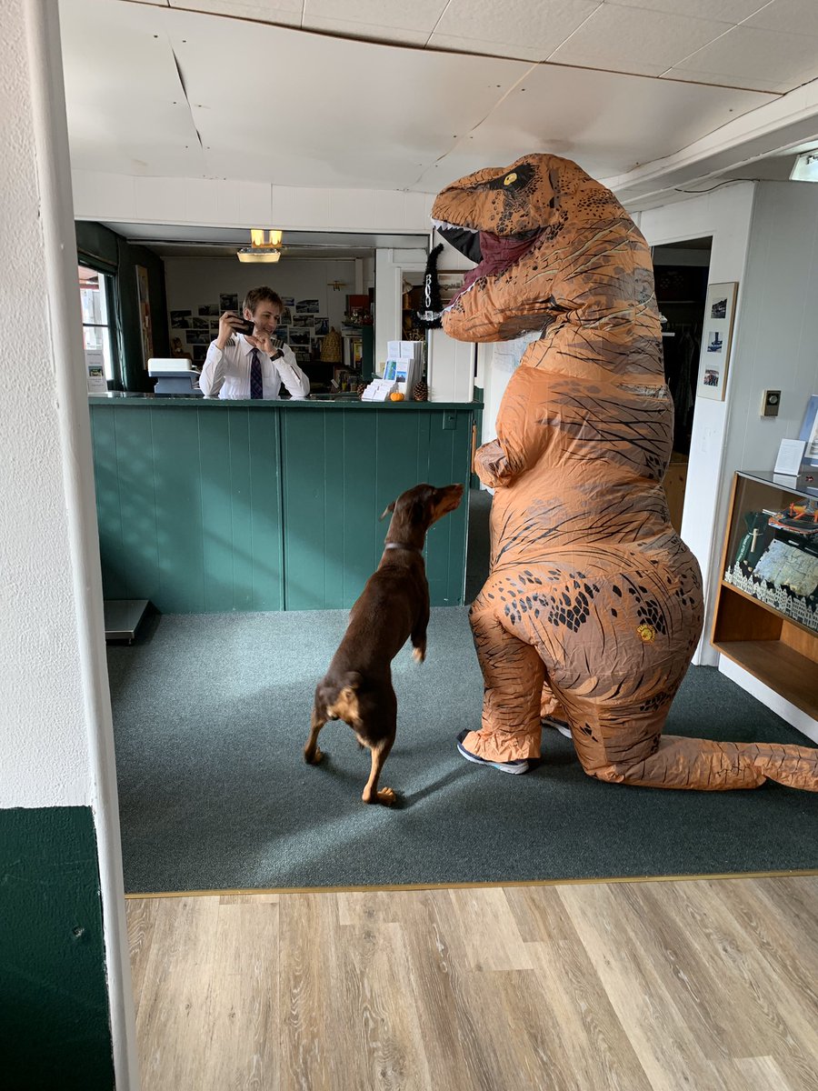 SeattleSeaplane's tweet photo. Happy Halloween from Theo, Brandon, Kit, and everyone at Seattle Seaplanes! @montanakit @Captain_Meadows #HappyHalloween #halloween2019 #Seattle #seaplanes https://t.co/hKXDzzOqKq