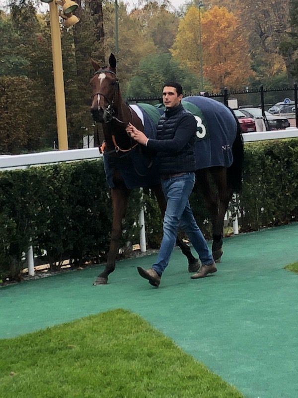 NicBellanger's tweet photo. 31/10/2019 Pour sa deuxième course GELINKA termine 5ème @paris_longchamp d'une classe 2 .
#ecuriebellanger #gelinka https://t.co/we7GCon1zl