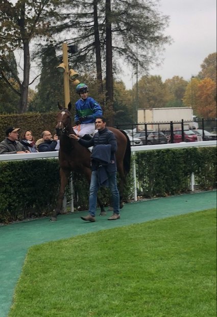 NicBellanger's tweet photo. 31/10/2019 Pour sa deuxième course GELINKA termine 5ème @paris_longchamp d'une classe 2 .
#ecuriebellanger #gelinka https://t.co/we7GCon1zl