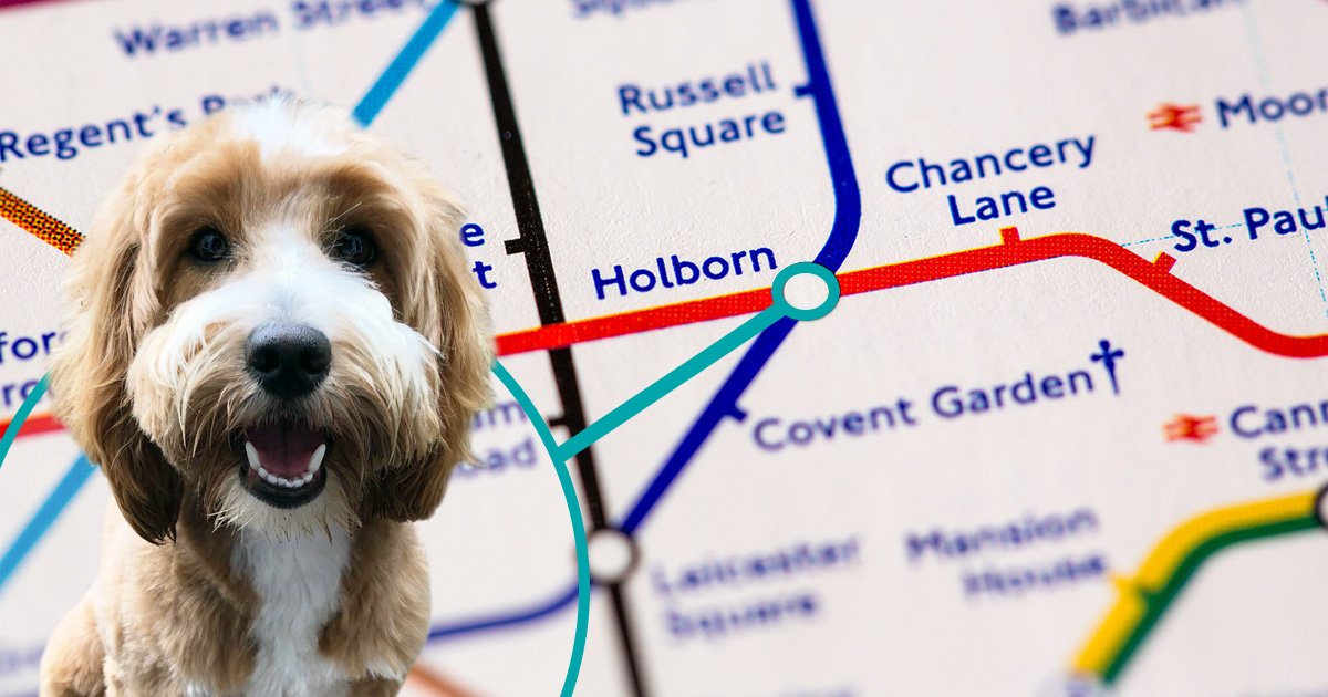 **NEW OFFICE ANNOUNCEMENT** We are excited to announce our NEW London office! The doors to our latest location in Holborn will be open in early December.
Read more about it here: bit.ly/2WtOekp 

#NewOffice #London #Holborn #BusinessTravel #CTTravel #News