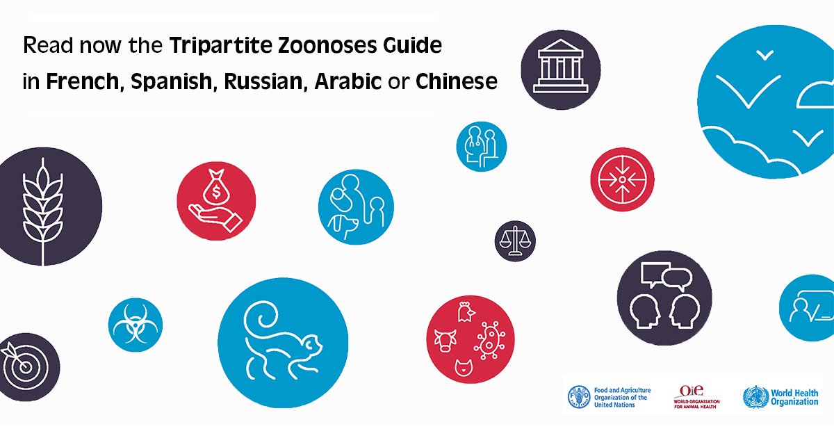 Kaylee Errecaborde tweet media