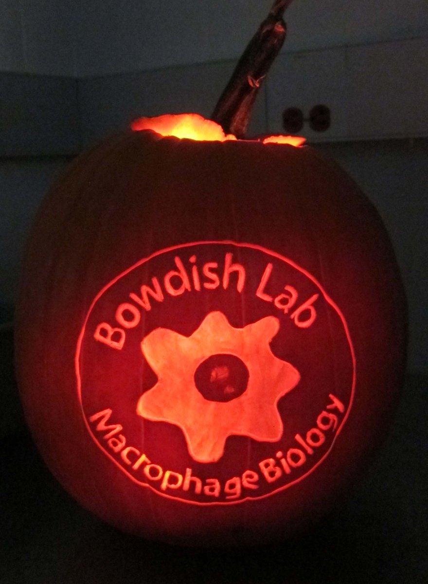 MsMacrophage's tweet photo. Happy Hallowe'en from the #BowdishLab! https://t.co/BIpmpBFI0b
