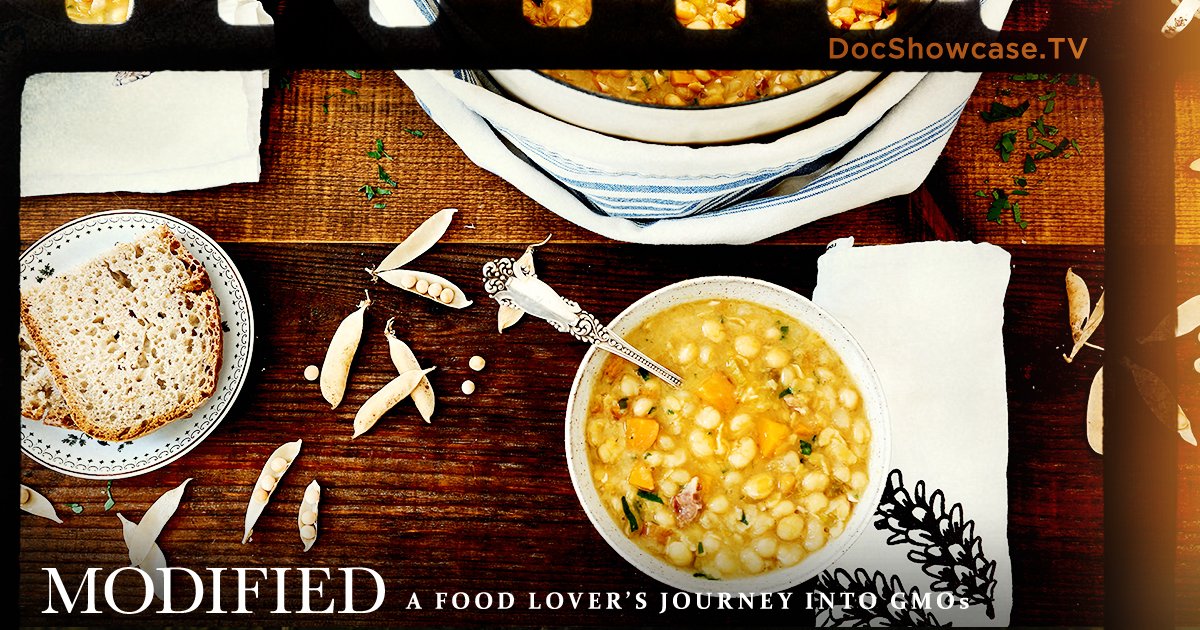 docshowcase's tweet photo. 'Modified' shows the battle raging between private citizens who demand the right to know what is in the foods we eat & the food & chemical corporations who seek to profit by keeping their controversial practices out of the public eye. https://t.co/8yRbuId8t5 #ModifiedFilm #GMO https://t.co/ypsk8tzv06
