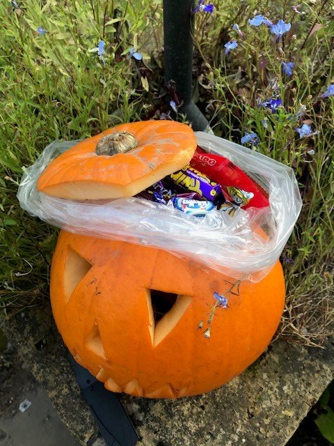 Cardinal Clinic tweet media