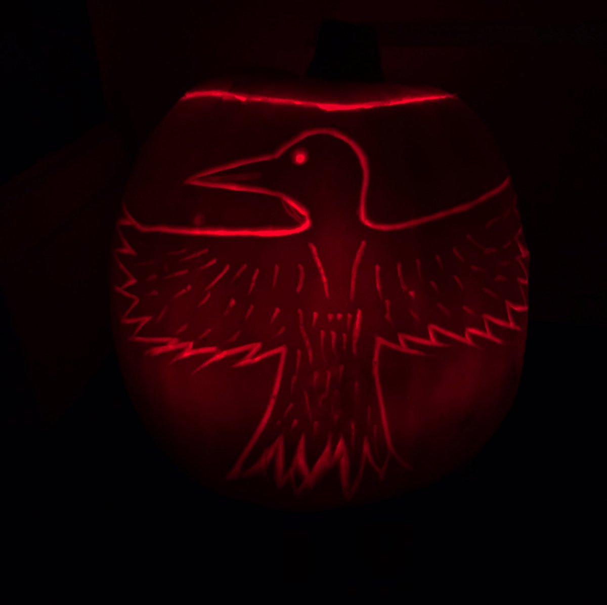#thecrow #thecureburn