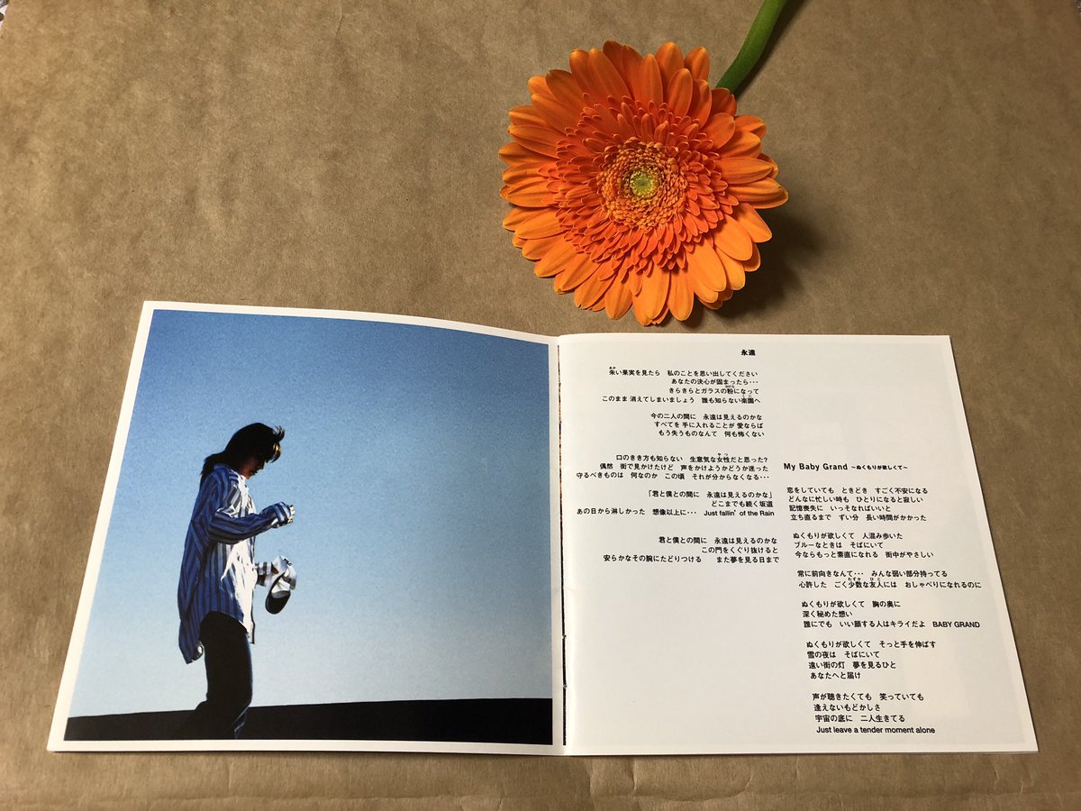 ケロ On Twitter 8hhrpryxk111fxn 今週発売されたようです こちらでは今日発売でした Https T Co Eakwyl1gpo Twitter