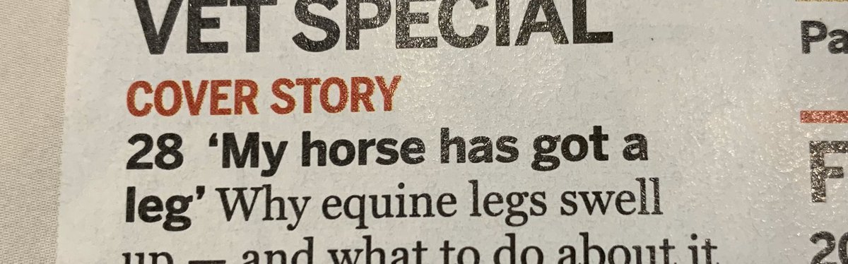 “My horse has got a leg”. Well I hope it’s got 4.... <a href="/horseandhound/">Horse & Hound</a>